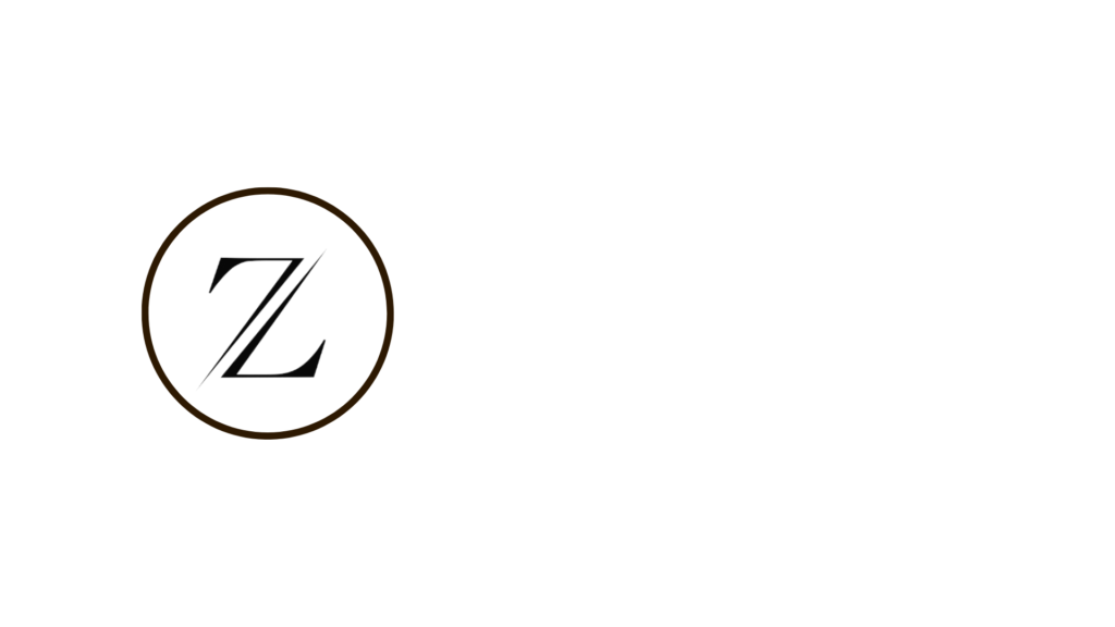 logo_entier_byzvision