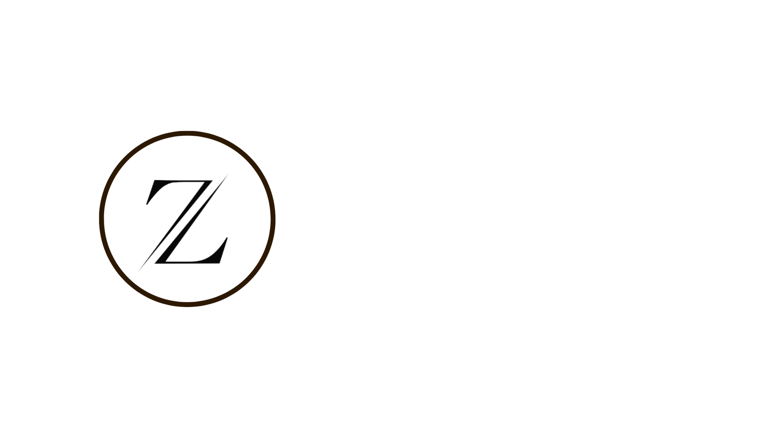 logo_entier_byzvision